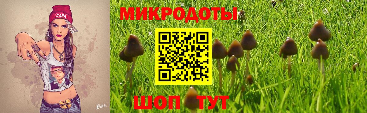 Псилоцибиновые грибы MAGIC MUSHROOMS  где купить наркоту  Муром  Вход с VPN 